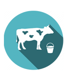 Mini Milk Processing Plant