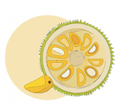 Jack Fruit Processing